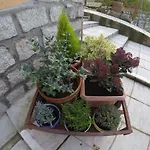 Rural El Arca De Noe 3* El Tiemblo