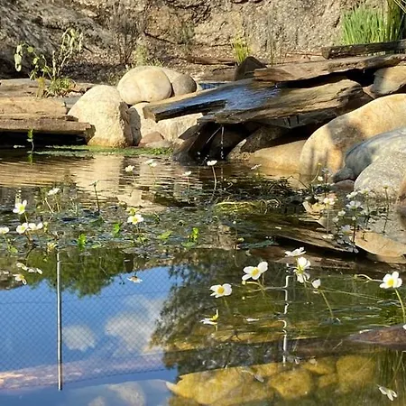 Rural El Arca De Noe 3*