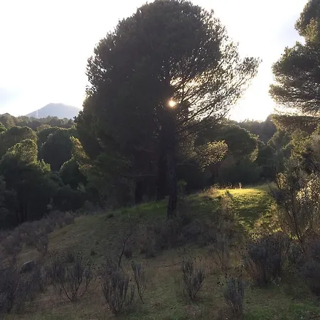 Ξενοδοχείο Rural El Arca De Noe El Tiemblo