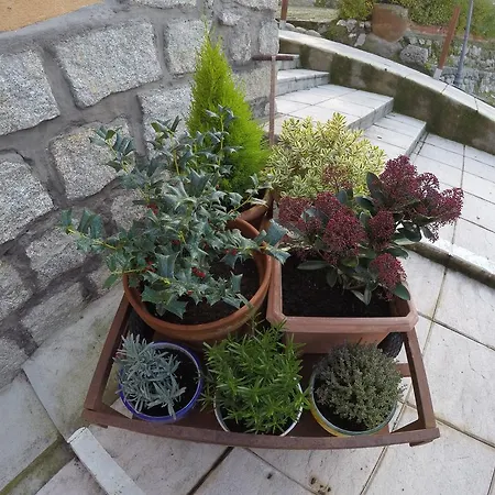 Rural El Arca De Noe 3* El Tiemblo