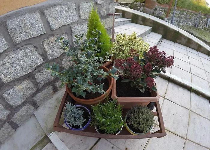 Rural El Arca De Noe 3* El Tiemblo